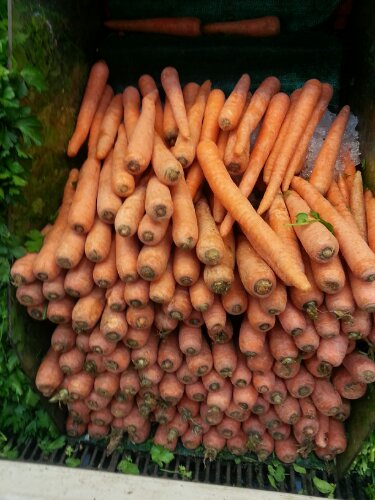 20130301_182637.jpg image